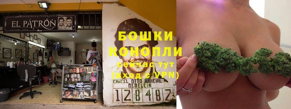 трава Кодинск