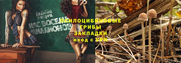 тгк Белая Холуница