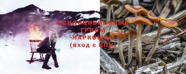 ГАЛЛЮЦИНОГЕННЫЕ ГРИБЫ Бабаево