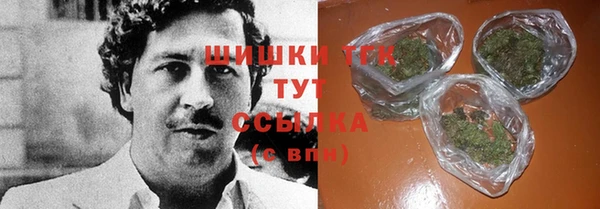 твердый Козельск